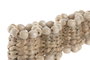 DKD Home Decor Set de 4 Servilleteros de Jacinto de Agua y Madera Natural