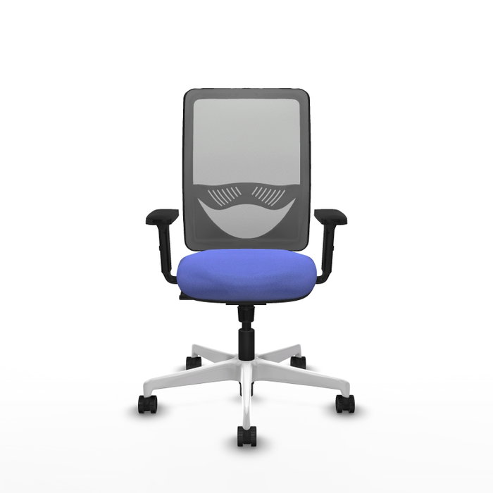 PIQUERAS Y CRESPO Silla de oficina Zulema con mecanismo Sincro, Azul claro y Gris PIQUERAS Y CRESPO Silla de oficina Zulema con mecanismo Sincro, Azul claro y Gris