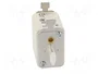 ETI POLAM Fusible NH00 de Cartucho Cerámico Industrial 40A 500VAC