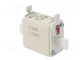 ETI POLAM Fusible NH00 de Cartucho Cerámico Industrial 40A 500VAC