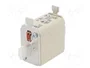 ETI POLAM Fusible NH00 de Cartucho Cerámico Industrial 40A 500VAC