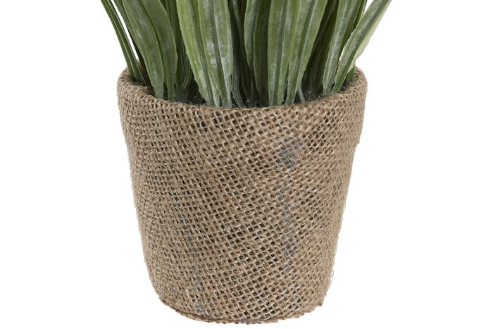 DKD Home Decor Planta Verde Natural 13 x 25 x 13 cm