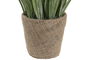 DKD Home Decor Planta Verde Natural 13 x 25 x 13 cm
