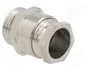 BM GROUP Sello aislante PG9 IP54 de latón