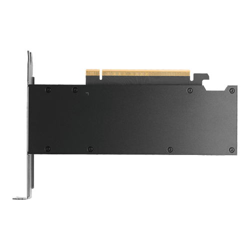 PNY RTX PRO 2000 Blackwell 16 GB GDDR7