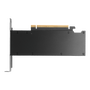 PNY RTX PRO 2000 Blackwell 16 GB GDDR7