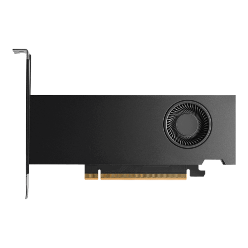PNY RTX PRO 2000 Blackwell 16 GB GDDR7