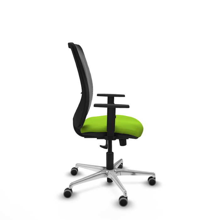 PIQUERAS Y CRESPO Silla de oficina Zulema con mecanismo Sincro, Pistacho y Negro PIQUERAS Y CRESPO Silla de oficina Zulema con mecanismo Sincro, Pistacho y Negro