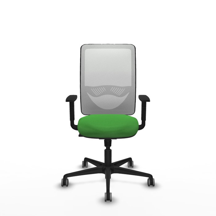 PIQUERAS Y CRESPO Silla de oficina Zulema con mecanismo Sincro Verde y Blanco PIQUERAS Y CRESPO Silla de oficina Zulema con mecanismo Sincro Verde y Blanco