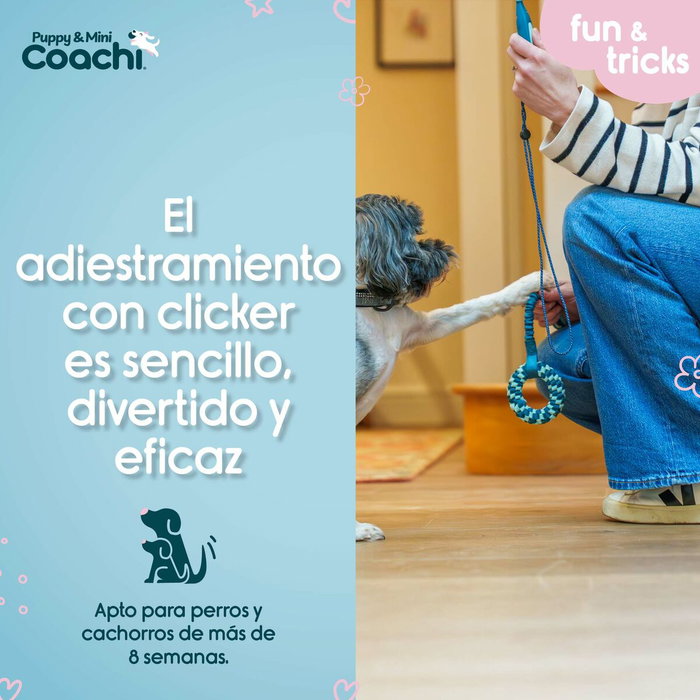 Arnés para Perro Coachi Arnés para Perro Coachi
