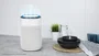 CECOTEC Big Dry 2500 Pure Light 1 L 45 W Blanco