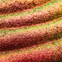 Catrice #020-Berry Blaze Sombra de Ojos Prismatic Shift 1 gr - Efecto Cambiante de Color, Textura Ligera, Acabado Multidimensional