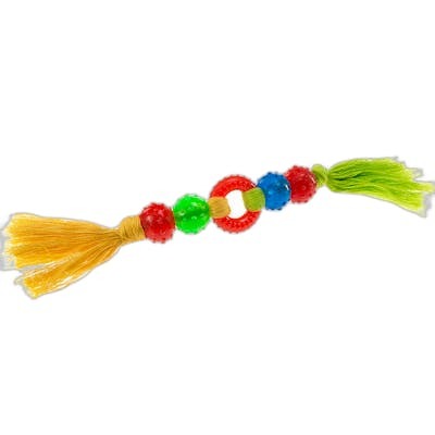 Ferplast Juguete para Perro PA 6419