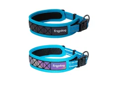 Freedog Collar Boreal Azul Capri 20mm 43/52cm
