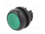 EATON ELECTRIC Interruptor de presión RMQ-Titan 22mm Verde