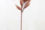 DKD Home Decor Ramas Decorativas Surtido de 2 unidades Marrón y Naranja 25x25x61 cm
