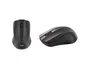 TNB Shark Ratón Óptico Inalámbrico 2,4 GHz Negro