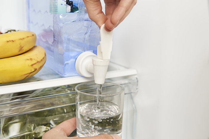 Privilege Dispensador Frigo Water Fres 4.2L