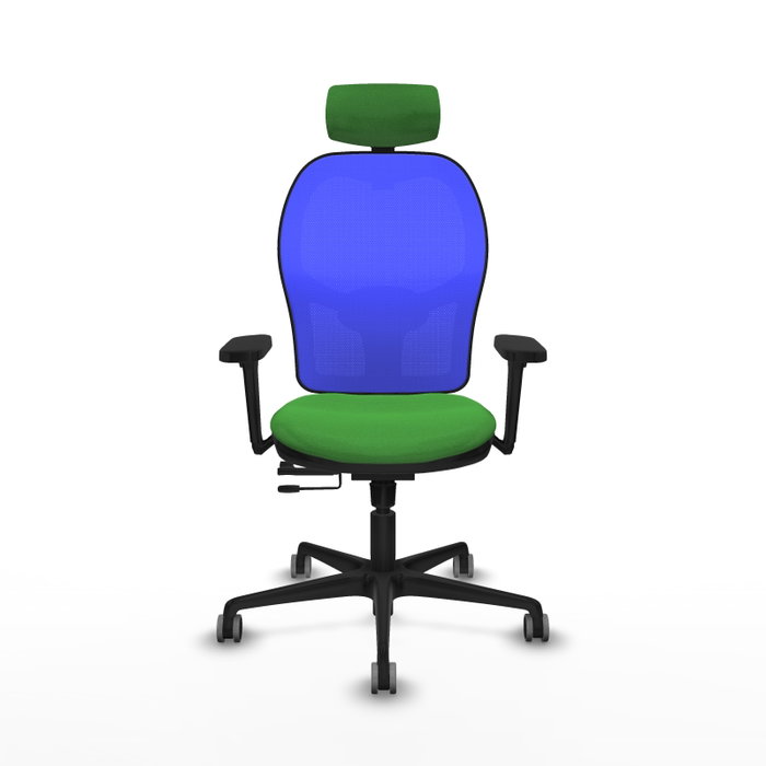 PIQUERAS Y CRESPO Silla de oficina Jorquera Sincro/Traslack Verde y Azul PIQUERAS Y CRESPO Silla de oficina Jorquera Sincro/Traslack Verde y Azul