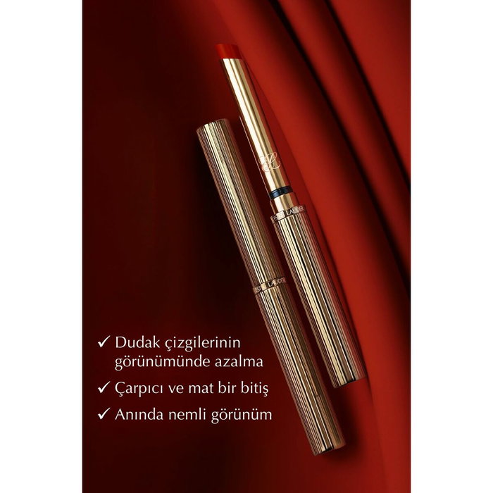 Estée Lauder PURE COLOR EXPLICIT MATTE #101-Static