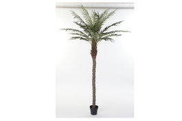 DKD Home Decor Palmera Datilera Artificial Verde y Marrón