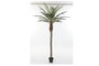 DKD Home Decor Palmera Datilera Artificial Verde y Marrón