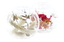 DKD Home Decor Portavelas de Cristal con Flor Seca 10x10x9 cm Surtido de 2
