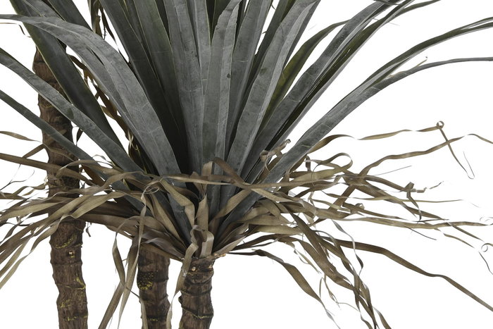 DKD Home Decor Palmera Verde y Beige 90x90x230 cm