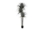 DKD Home Decor Palmera Verde y Beige 90x90x230 cm