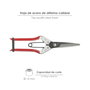 Wolfpack Linea Profesional Tijeras de Recolectar Ajos P-1702 de 210 mm