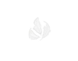 Innspiro Plumón blanco 75mm