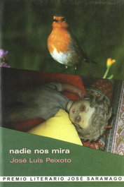HIRU, Nadie nos mira, José Luis Peixoto - Ficciones