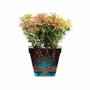 Elho Maceta Loft Urban Redonda Roja Ø 42 x Al 56 cm