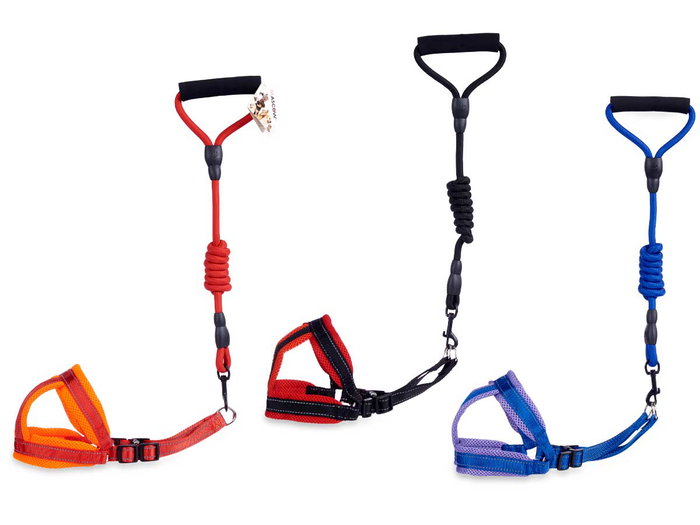 Mascow Arnés con Correa Mediano para Perro, Surtido de Colores (Azul, Naranja, Rojo), Dimensiones 17x8x86 cm (Set de 12) Mascow Arnés con Correa Mediano para Perro, Surtido de Colores (Azul, Naranja, Rojo), Dimensiones 17x8x86 cm (Set de 12)