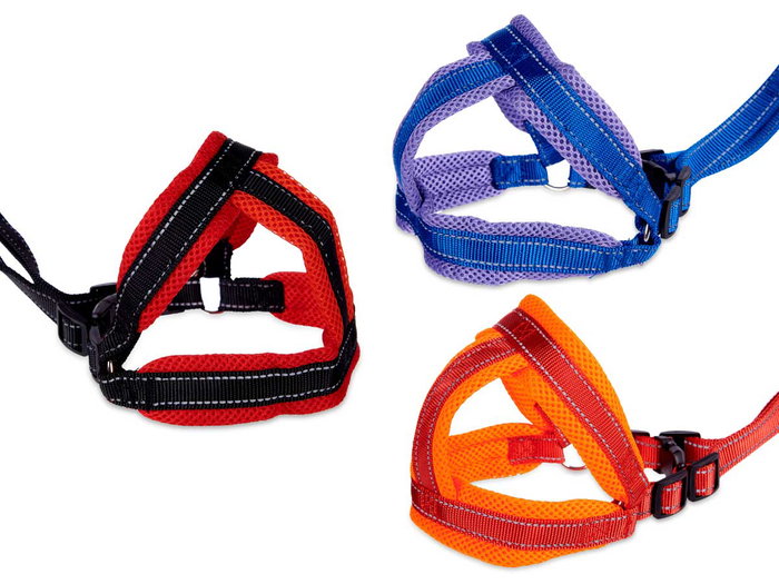 Mascow Arnés con Correa Mediano para Perro, Surtido de Colores (Azul, Naranja, Rojo), Dimensiones 17x8x86 cm (Set de 12) Mascow Arnés con Correa Mediano para Perro, Surtido de Colores (Azul, Naranja, Rojo), Dimensiones 17x8x86 cm (Set de 12)