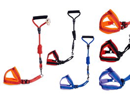 Mascow Arnés con Correa Mediano para Perro, Surtido de Colores (Azul, Naranja, Rojo), Dimensiones 17x8x86 cm (Set de 12)