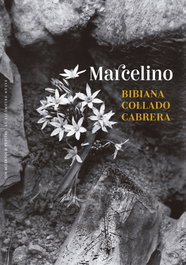 Marcelino, Bibiana Collado Cabrera - PEPITAS DE CALABAZA