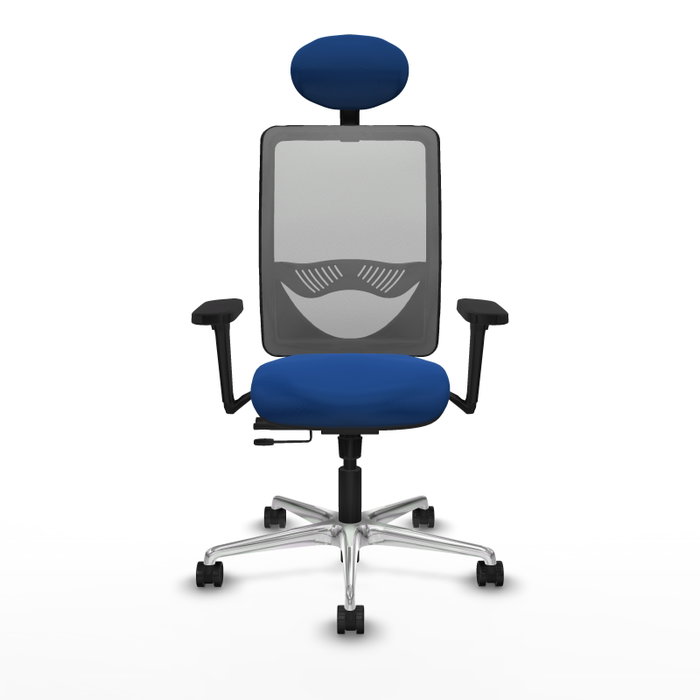 PIQUERAS Y CRESPO Silla de oficina Zulema con mecanismo Sincro/Traslack, Azul y Gris PIQUERAS Y CRESPO Silla de oficina Zulema con mecanismo Sincro/Traslack, Azul y Gris