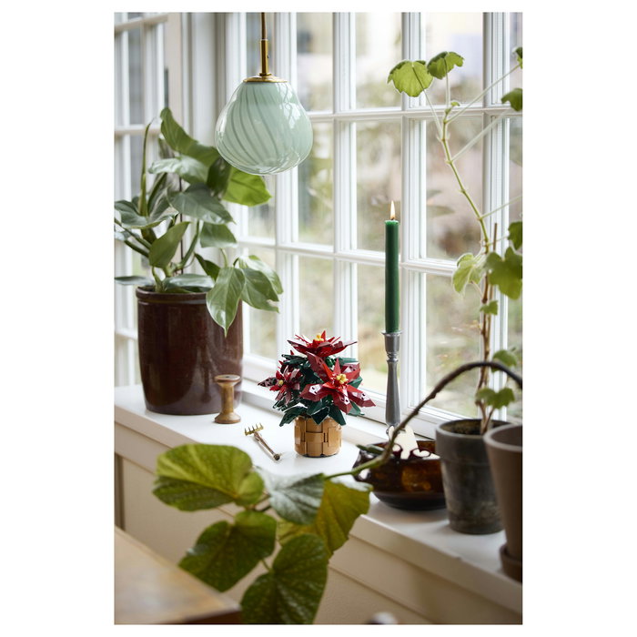 LEGO 10370 Icons Botanicals Flor de Pascua Weihnachtsstern, Juego de Construcción de 608 Piezas para Adultos, Coleccionable, Multicolor