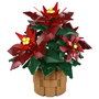 LEGO 10370 Icons Botanicals Flor de Pascua Weihnachtsstern, Juego de Construcción de 608 Piezas para Adultos, Coleccionable, Multicolor