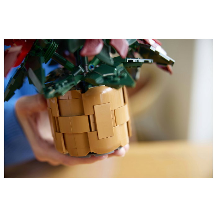 LEGO 10370 Icons Botanicals Flor de Pascua Weihnachtsstern, Juego de Construcción de 608 Piezas para Adultos, Coleccionable, Multicolor