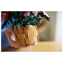 LEGO 10370 Icons Botanicals Flor de Pascua Weihnachtsstern, Juego de Construcción de 608 Piezas para Adultos, Coleccionable, Multicolor