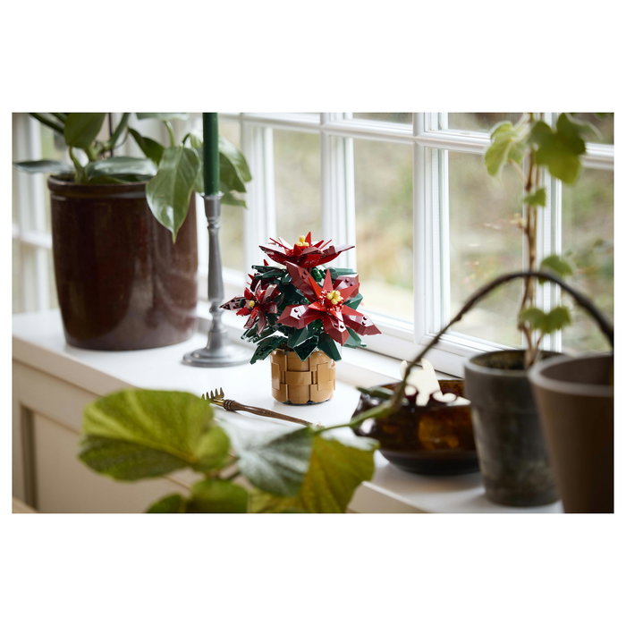 LEGO 10370 Icons Botanicals Flor de Pascua Weihnachtsstern, Juego de Construcción de 608 Piezas para Adultos, Coleccionable, Multicolor