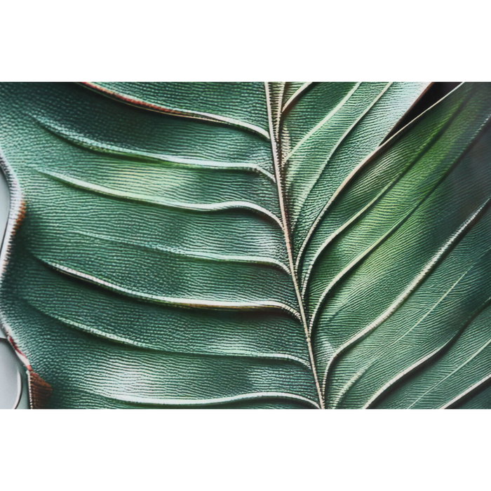 DKD Home Decor Cuadro de Palmera Surtido de 2 Piezas (80x3,5x120 cm)