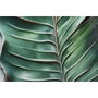 DKD Home Decor Cuadro de Palmera Surtido de 2 Piezas (80x3,5x120 cm)