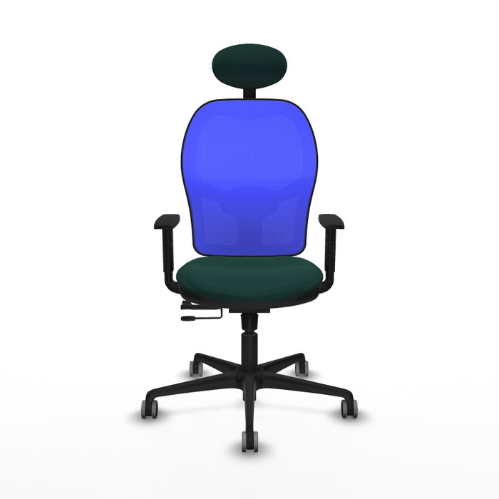 PIQUERAS Y CRESPO Silla de oficina Jorquera Verde botella y Azul PIQUERAS Y CRESPO Silla de oficina Jorquera Verde botella y Azul