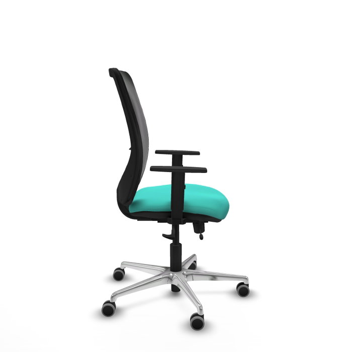 PIQUERAS Y CRESPO Silla de oficina Zulema con mecanismo Sincro/Traslack, Turquesa y Negro PIQUERAS Y CRESPO Silla de oficina Zulema con mecanismo Sincro/Traslack, Turquesa y Negro