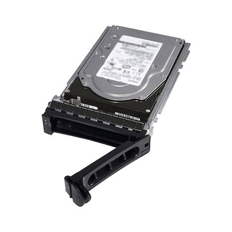 Dell 4000GB 3.5 NL-SAS Dell 4000GB 3.5 NL-SAS
