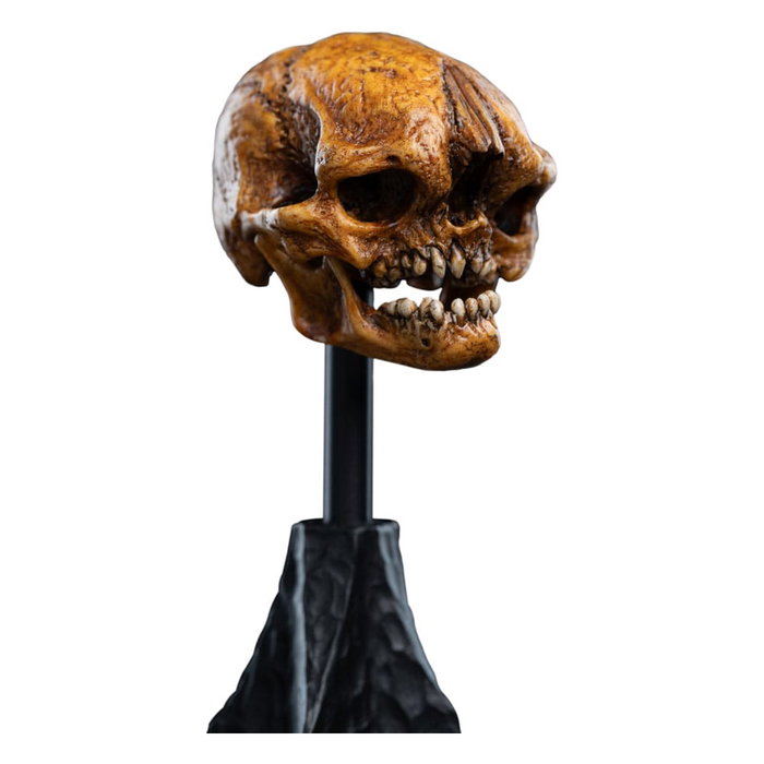 Weta Workshop Estatua Skull of a Misty Mountain Goblin de El Señor de los Anillos