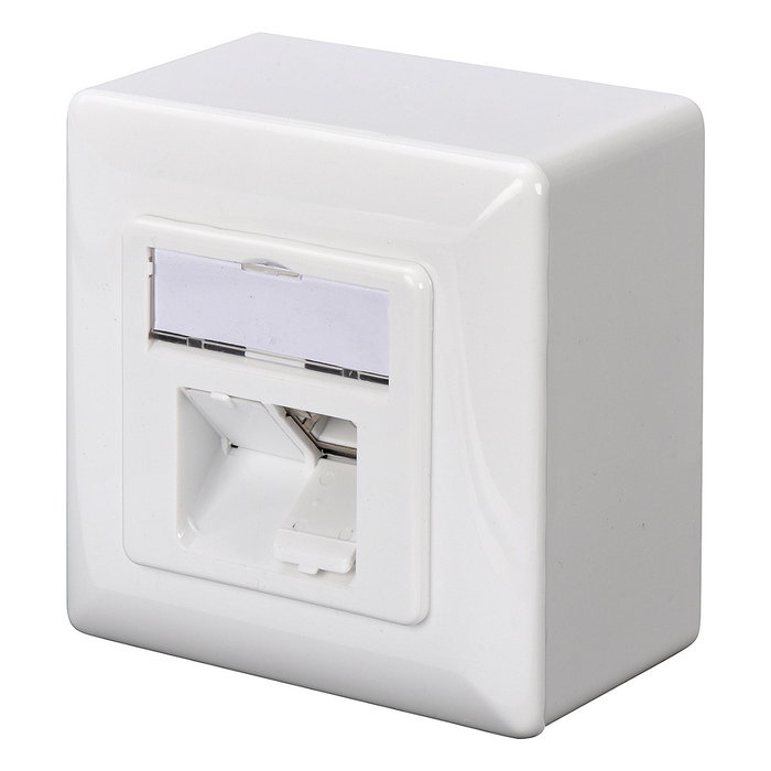 Digitus DN-9007-S-1 Toma de datos Cat6a 2xRJ45 apantallada Blanco